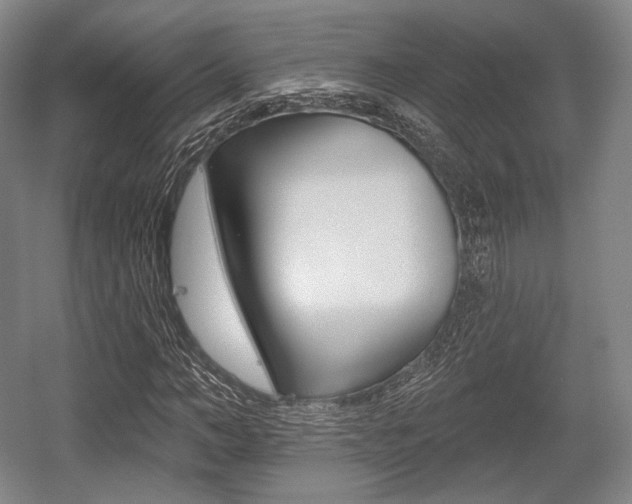 X0000055970966200508190659