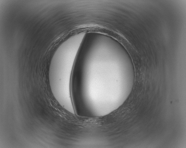 X0000055970967200508190659