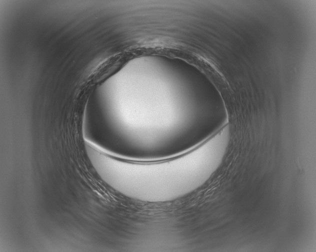 X0000055970968200508190659