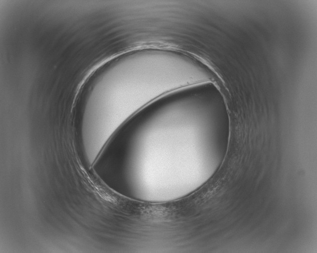 X0000055970971200508190659