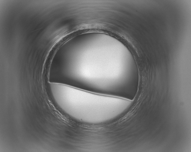 X0000055970975200508190659