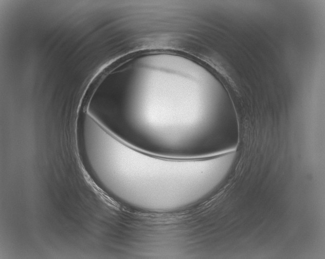 X0000055970980200508190659