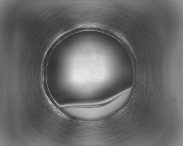 X0000055970984200508190659