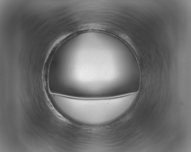 X0000055970987200508190659