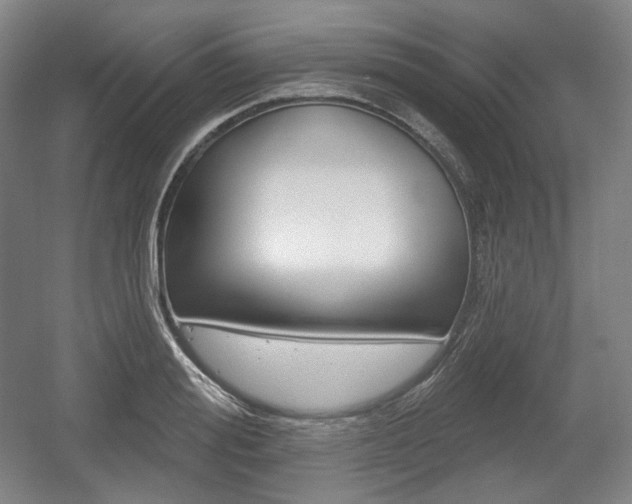 X0000055970988200508190659