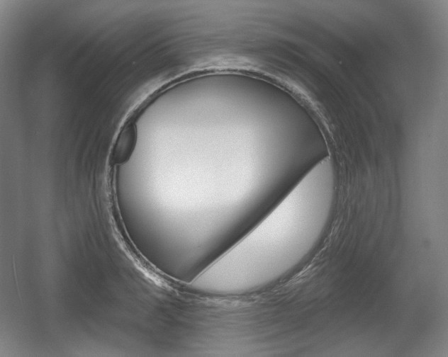 X0000055970990200508190658