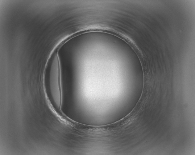 X0000055970991200508190658