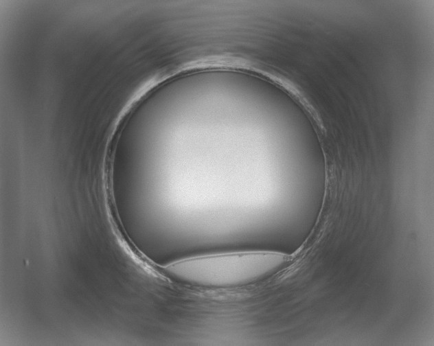 X0000055970998200508190658