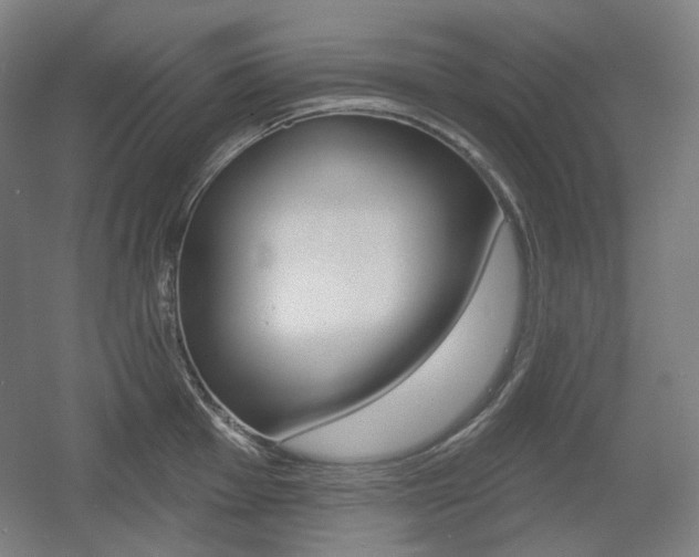 X0000055971001200508190658