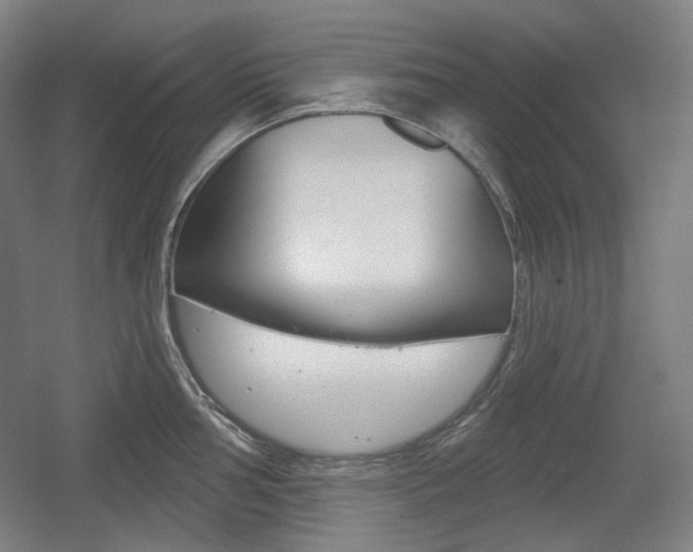 X0000055971002200508190658