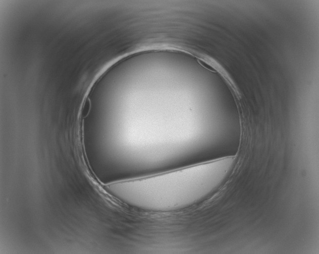 X0000055971004200508190658