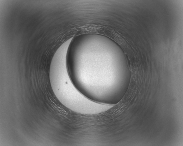 X0000055971010200508190657