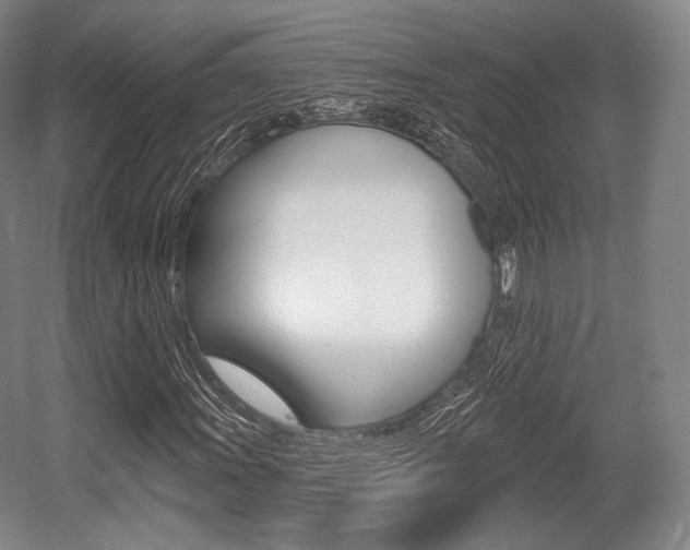 X0000055971011200508190657
