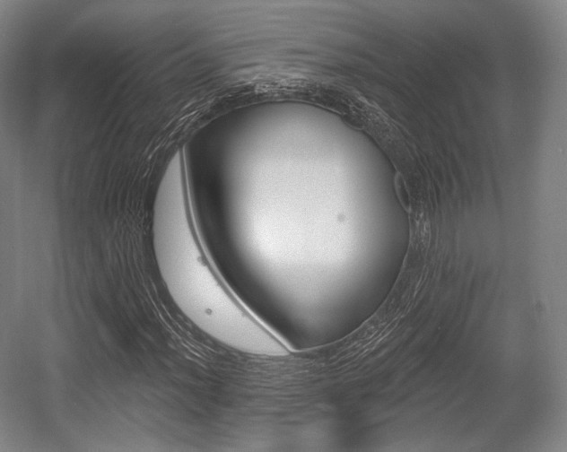 X0000055971012200508190657
