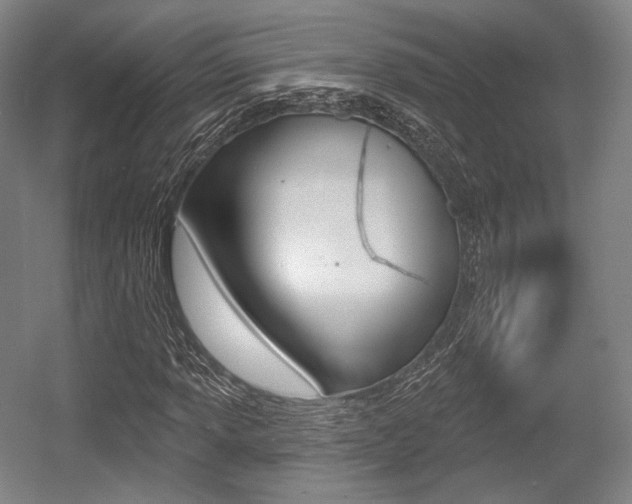 X0000055971013200508190657
