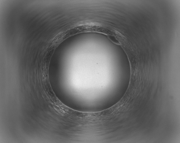 X0000055971014200508190657