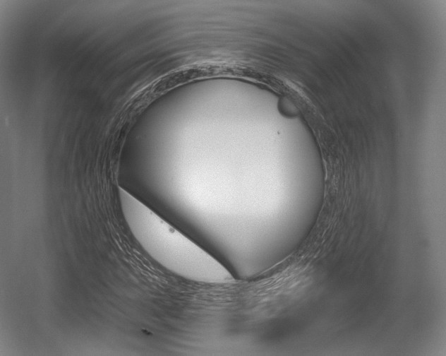 X0000055971015200508190657