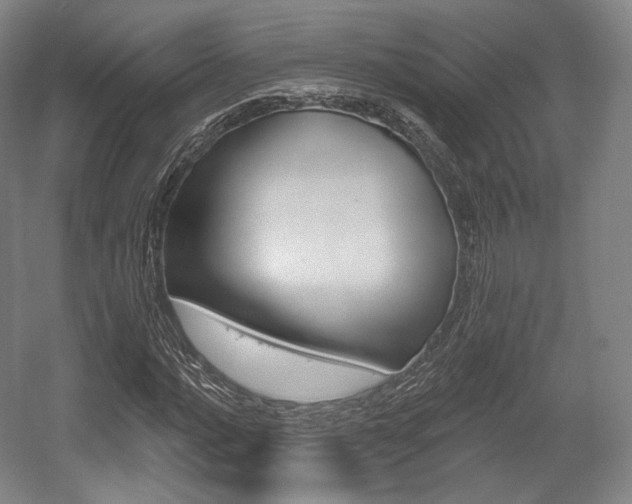 X0000055971016200508190657