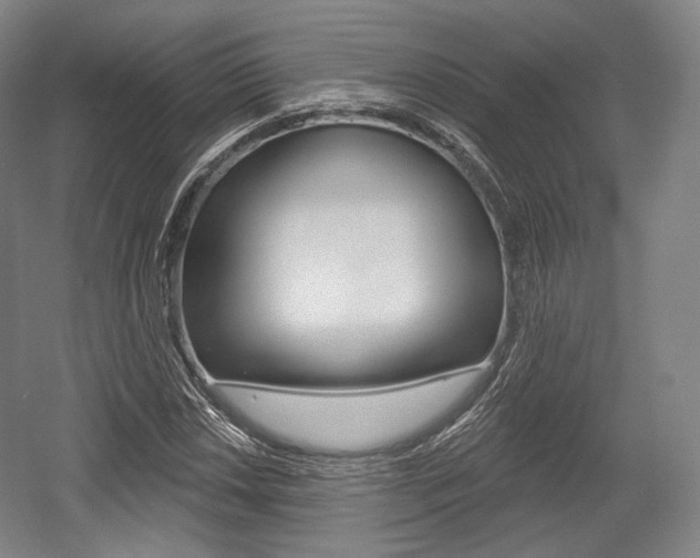 X0000055971018200508190658