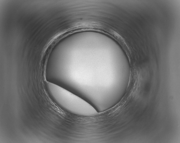 X0000055971019200508190658