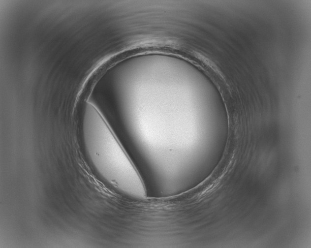 X0000055971021200508190658