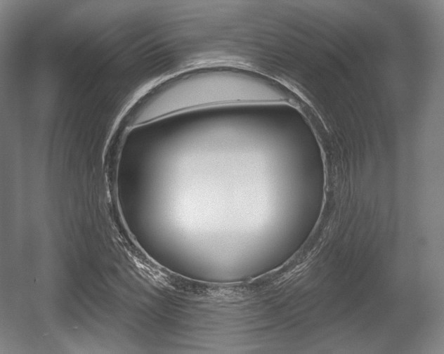 X0000055971022200508190658