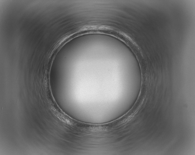 X0000055971025200508190658