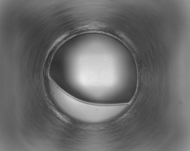 X0000055971026200508190658