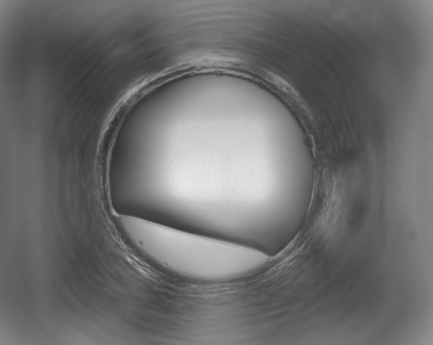 X0000055971027200508190658