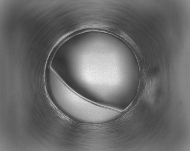 X0000055971028200508190658