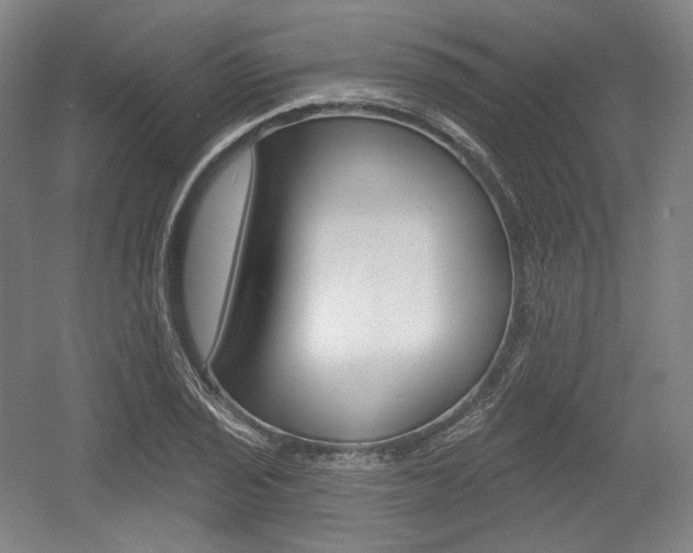 X0000055971029200508190658