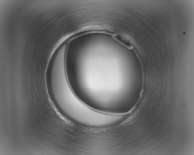 X0000055971030200508190658