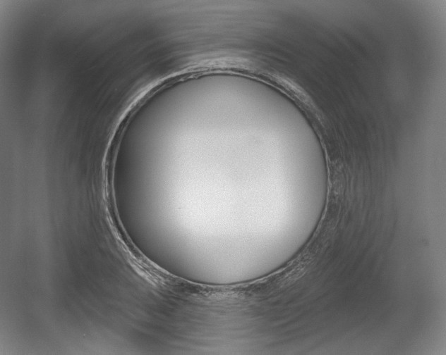 X0000055971031200508190658