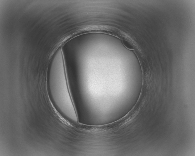 X0000055971033200508190658