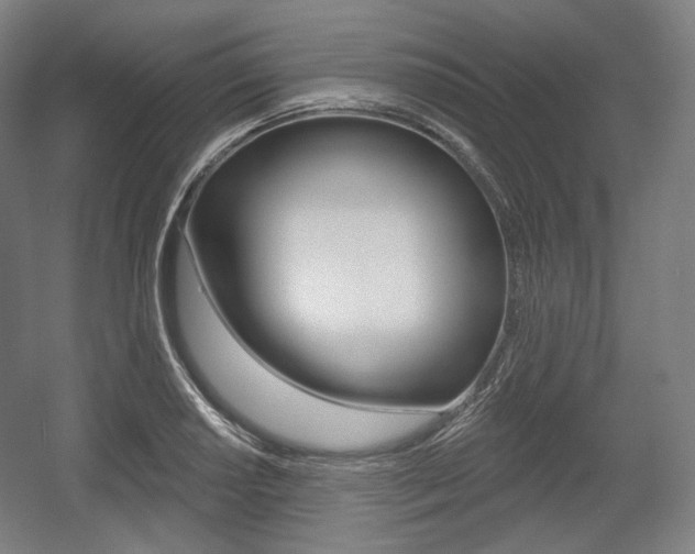 X0000055971034200508190658
