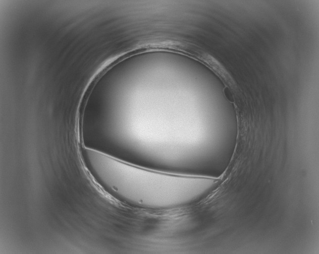 X0000055971036200508190658