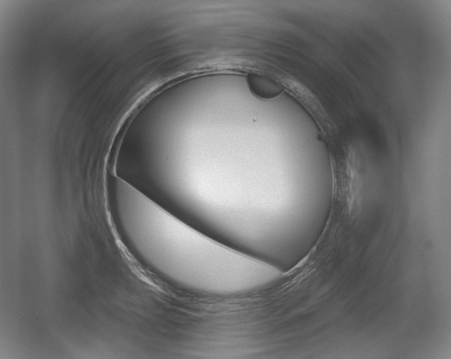 X0000055971039200508190658