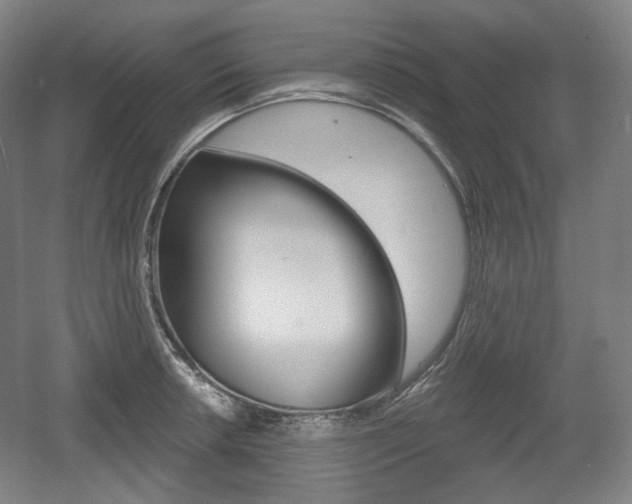 X0000055971042200508190658