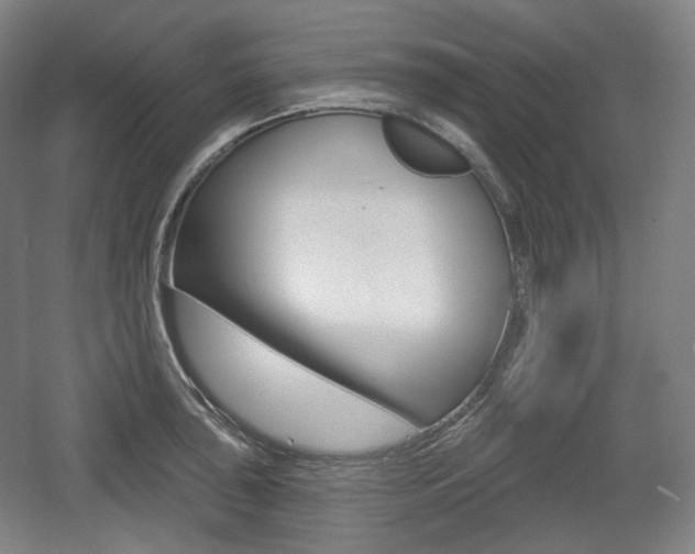 X0000055971043200508190658