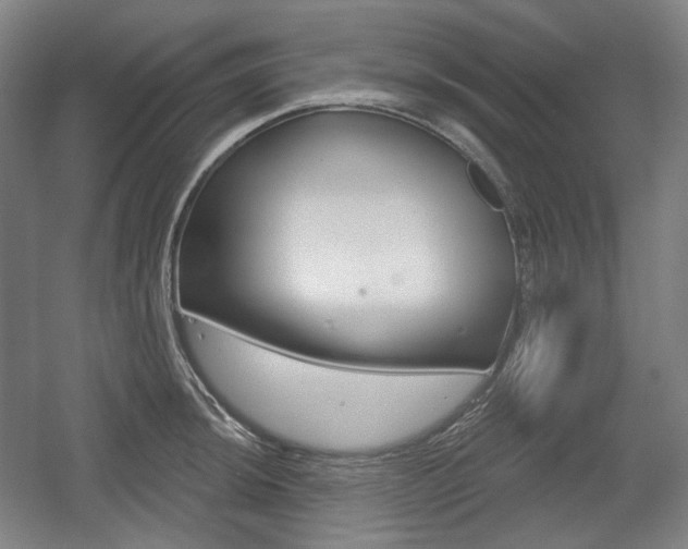 X0000055971044200508190658