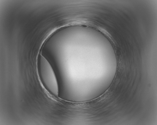 X0000055971047200508190658