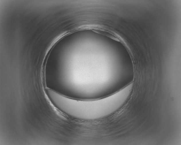 X0000055971050200508190658
