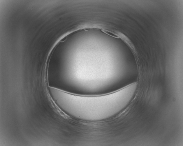 X0000055971052200508190658