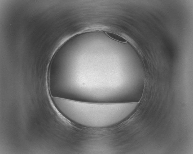 X0000055971055200508190658