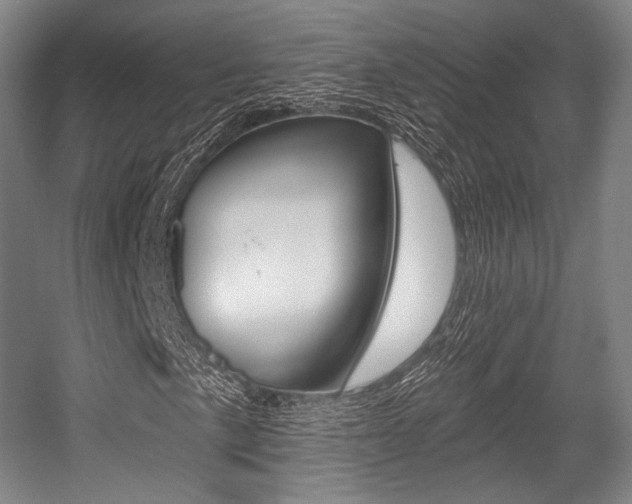 X0000055971057200508190657