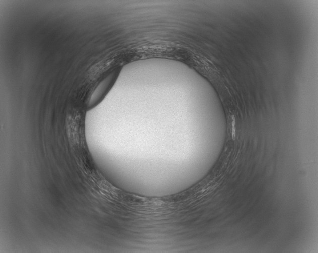 X0000055971059200508190657