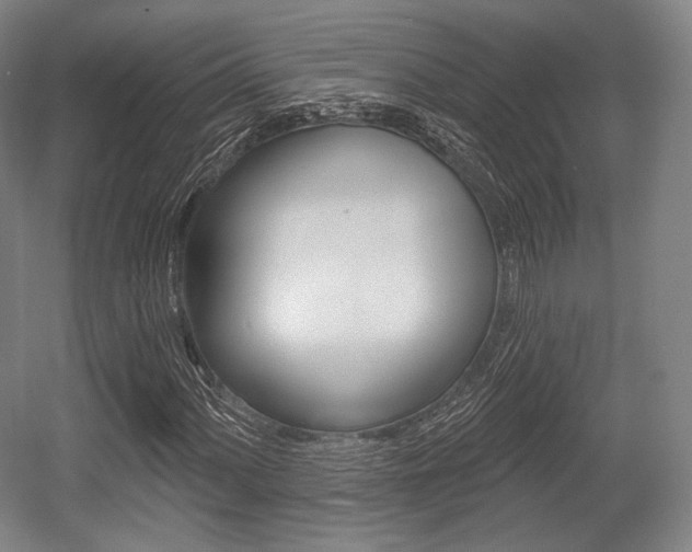 X0000055971060200508190657