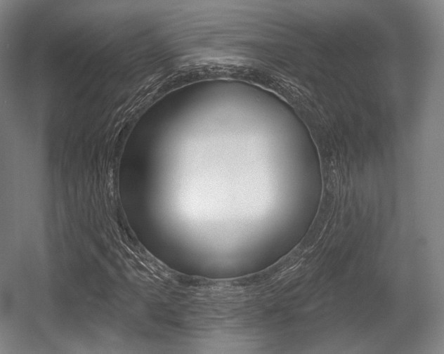 X0000055971061200508190657
