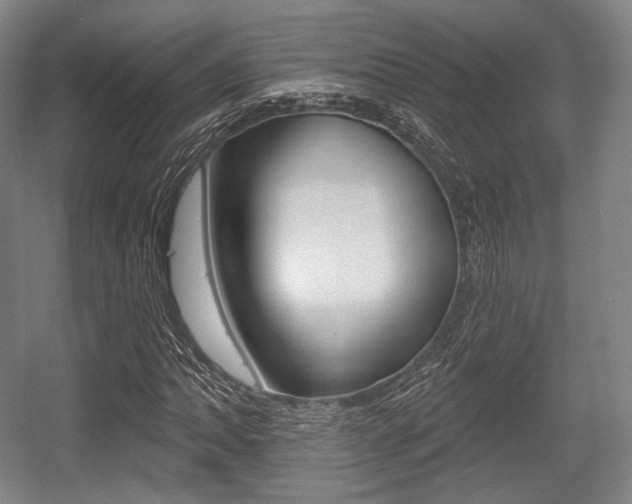 X0000055971062200508190657