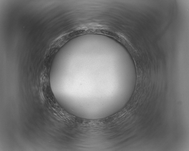 X0000055971063200508190657